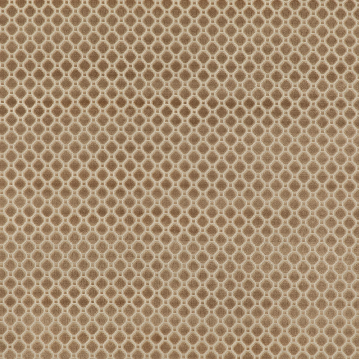 Indus Velvet Tyg