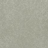 Boratti Birch — Designers Guild tapet