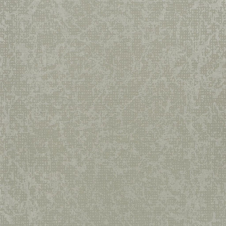 Boratti Birch — Designers Guild tapet