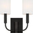 Aged Iron with Linen Shades