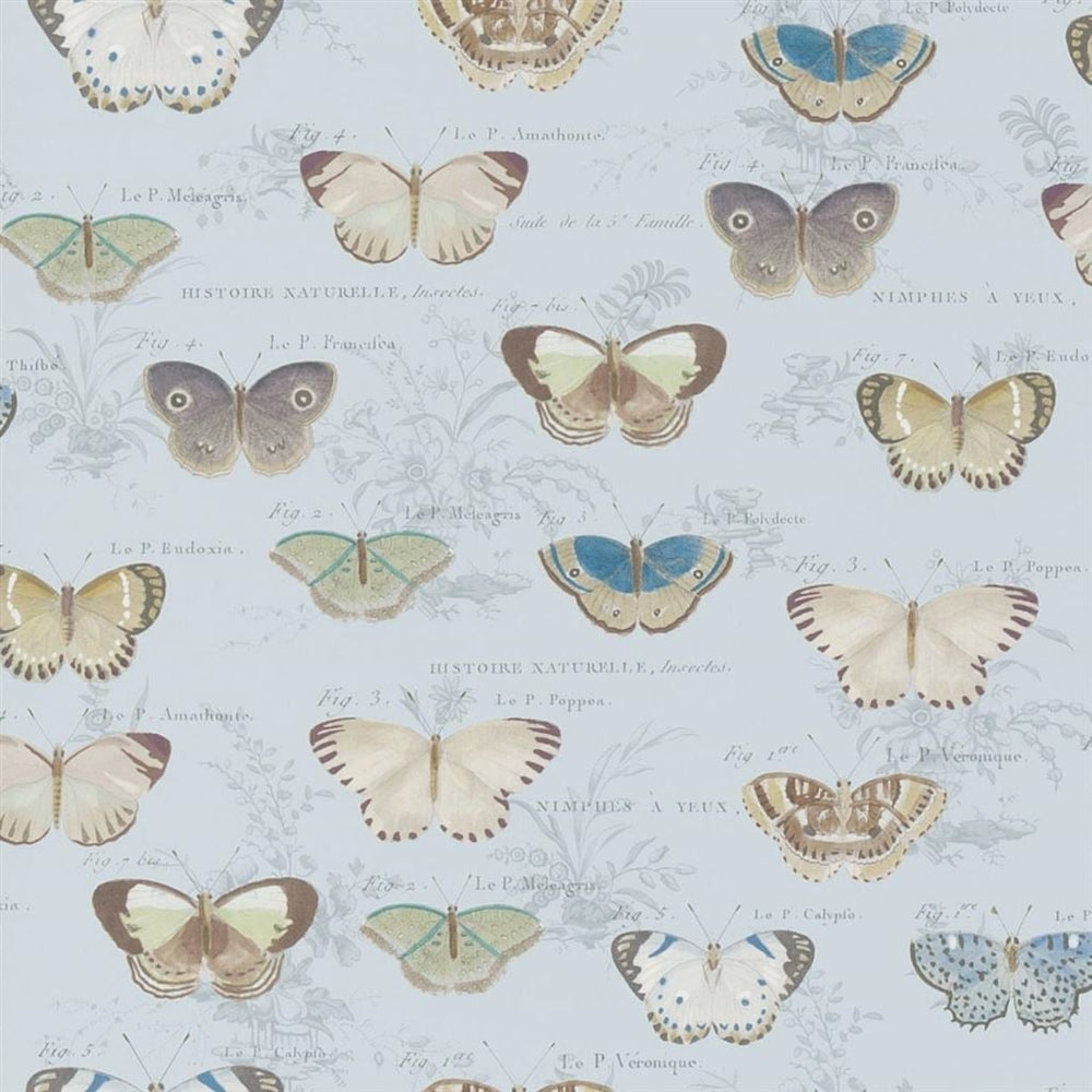 Butterfly Studies Cloud Blue — Designers Guild tapet