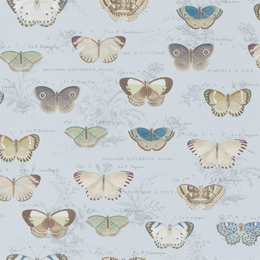 Butterfly Studies Cloud Blue — Designers Guild tapet
