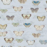 Butterfly Studies Cloud Blue — Designers Guild tapet