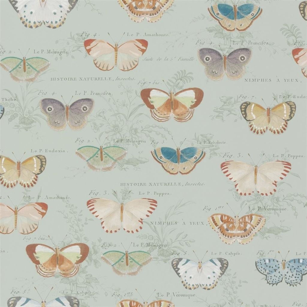 Butterfly Studies Eau de Nil — Designers Guild tapet
