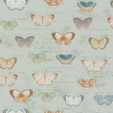Butterfly Studies Eau de Nil — Designers Guild tapet