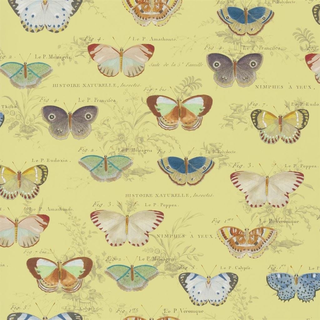 Butterfly Studies Mimosa — Designers Guild tapet
