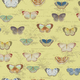Butterfly Studies Mimosa — Designers Guild tapet