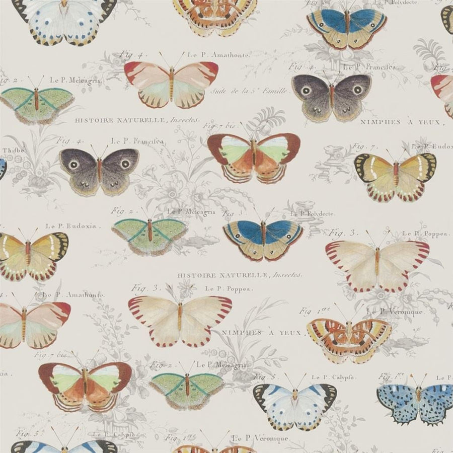 Butterfly Studies Tapet — Designers Guild