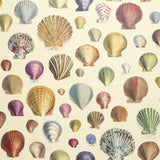 Captain Thomas Browns Shells Sepia 01 — Designers Guild tapet