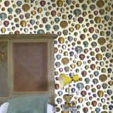 Captain Thomas Browns Shells Sepia Tapet — Designers Guild i miljö