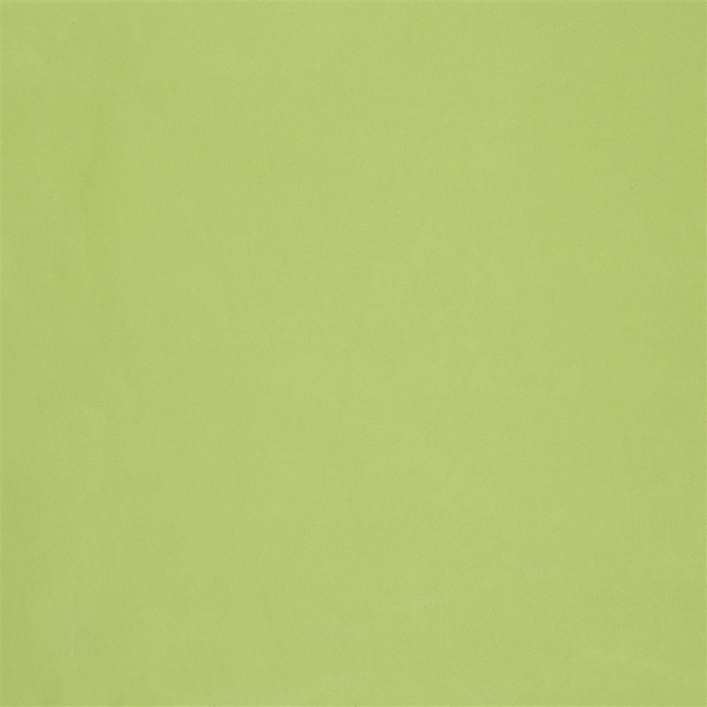 Cara Lime — Designers Guild tyg