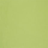Cara Lime — Designers Guild tyg