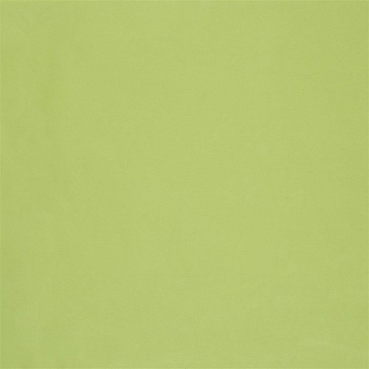 Cara Lime — Designers Guild tyg