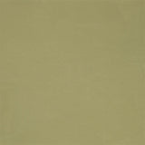 Cara Pistachio — Designers Guild tyg