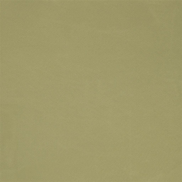 Cara Pistachio — Designers Guild tyg