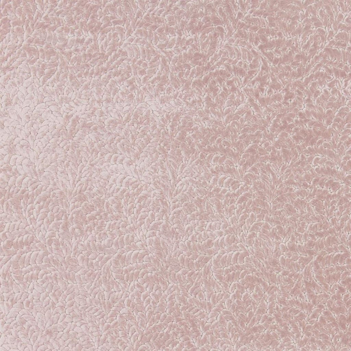 Cartouche Blossom — Designers Guild tyg