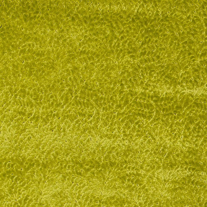 Cartouche Moss — Designers Guild tyg