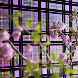 Chennai Tapet — Designers Guild i miljö