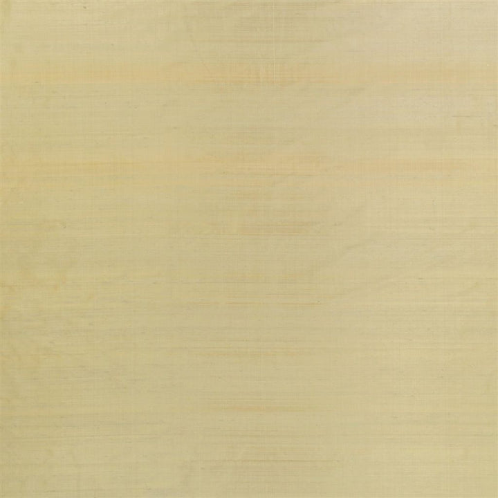 Chinon Silver Birch — Designers Guild tyg
