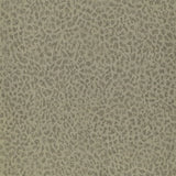 Ciottoli Gold — Designers Guild