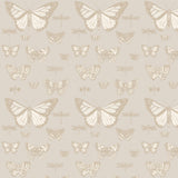 Butterflies & Dragonflies Tapetprov