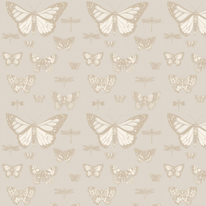 Butterflies & Dragonflies Tapetprov