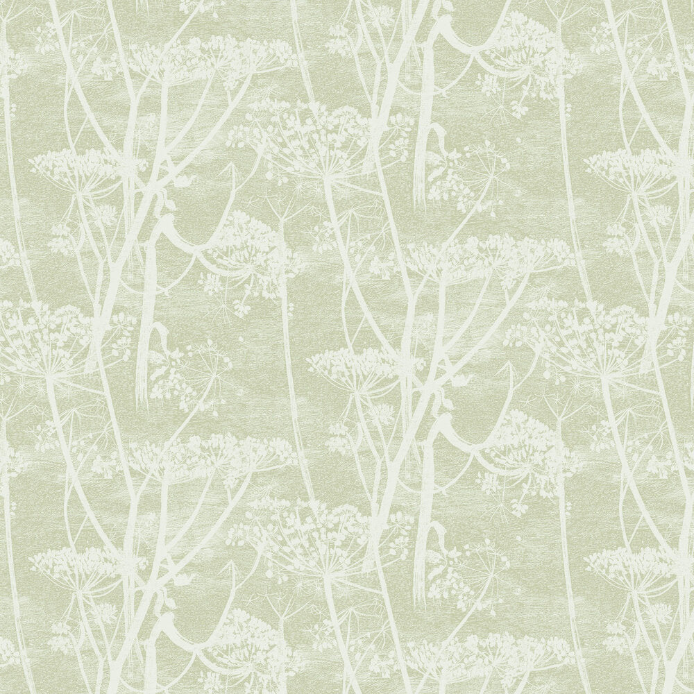 Cow Parsley Tapetprov