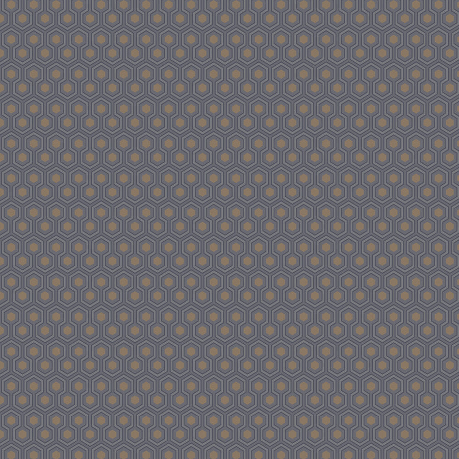 Hicks´ Hexagon Tapetprov