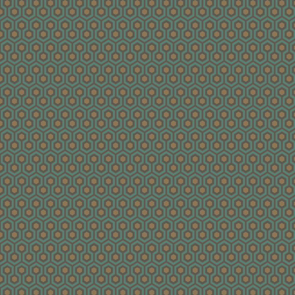 Hicks´ Hexagon Tapetprov