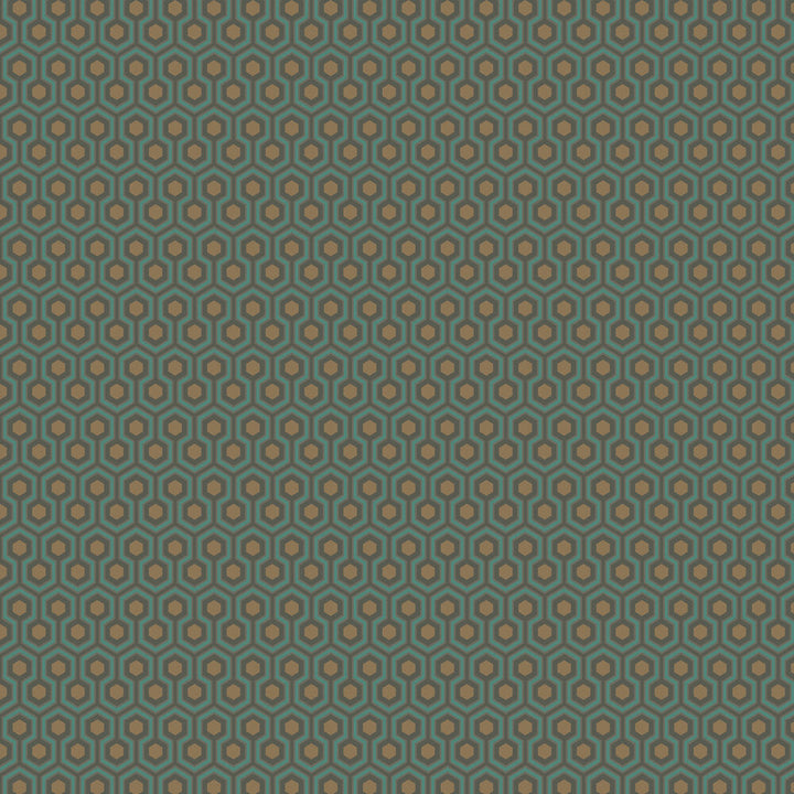 Hicks´ Hexagon Tapetprov