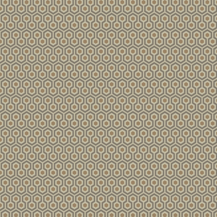 Hicks´ Hexagon Tapetprov