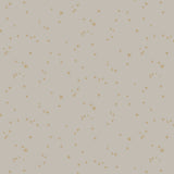 Stars Tapetprov