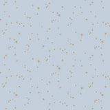 Stars Tapetprov