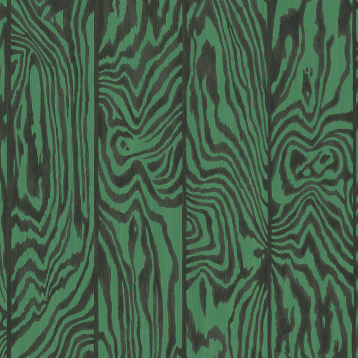 Zebrawood Tapetprov