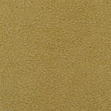 Cormo Acacia/Ochre tbc — Designers Guild