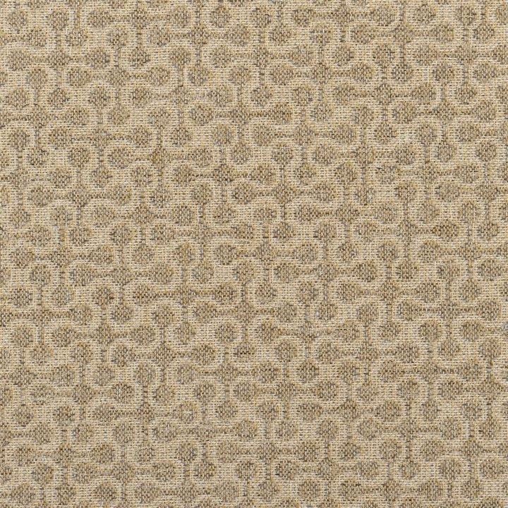 Derwen Shore Lichen — Designers Guild tyg