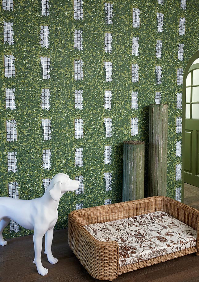 Designer Dogs room setting — Pierre Frey fabric