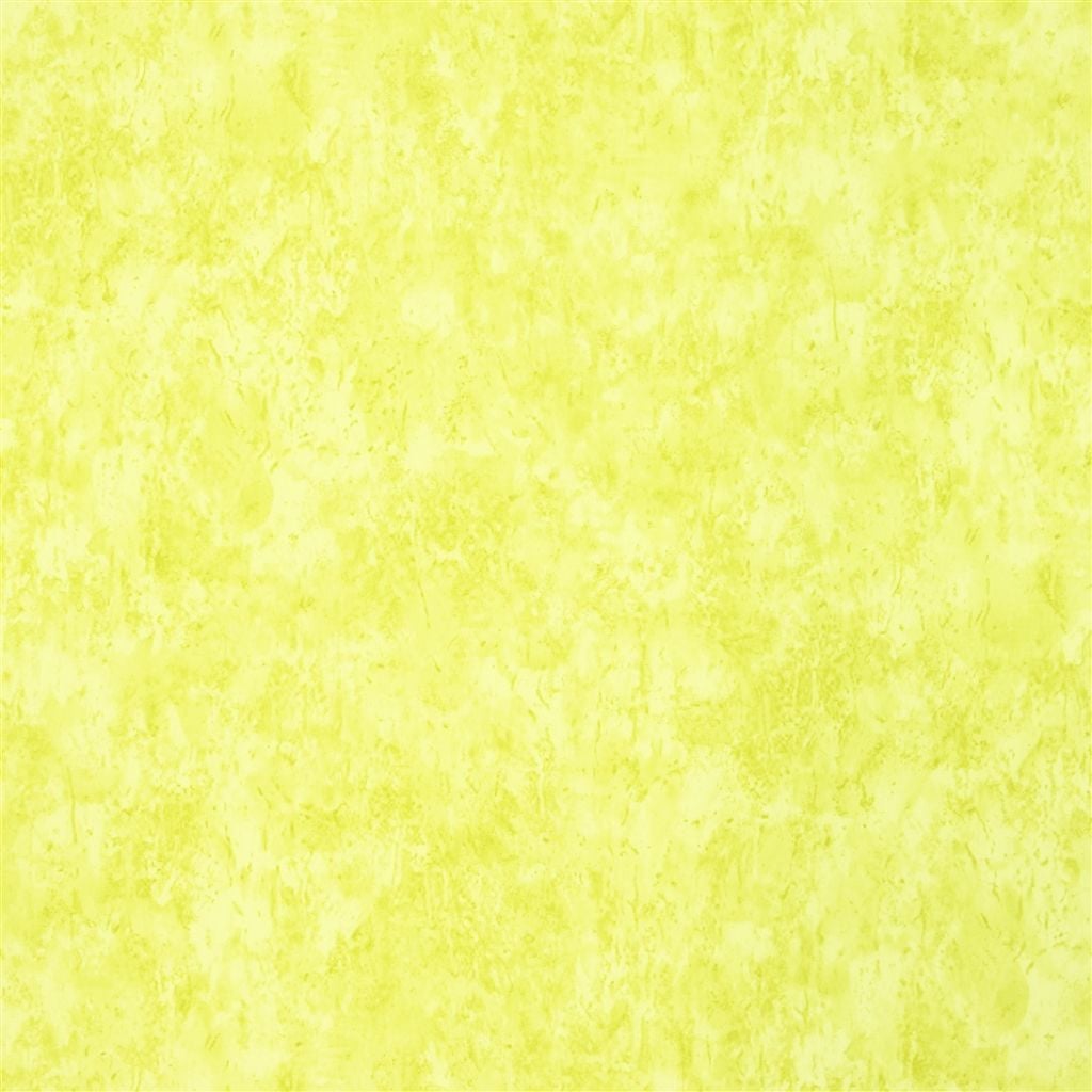 Ellora Lime — Designers Guild tyg