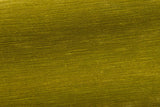 Georges Absinthe — Pierre Frey tyg