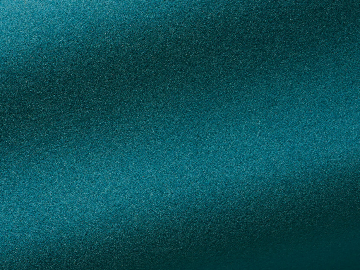 Tipi Canard — Pierre Frey fabric