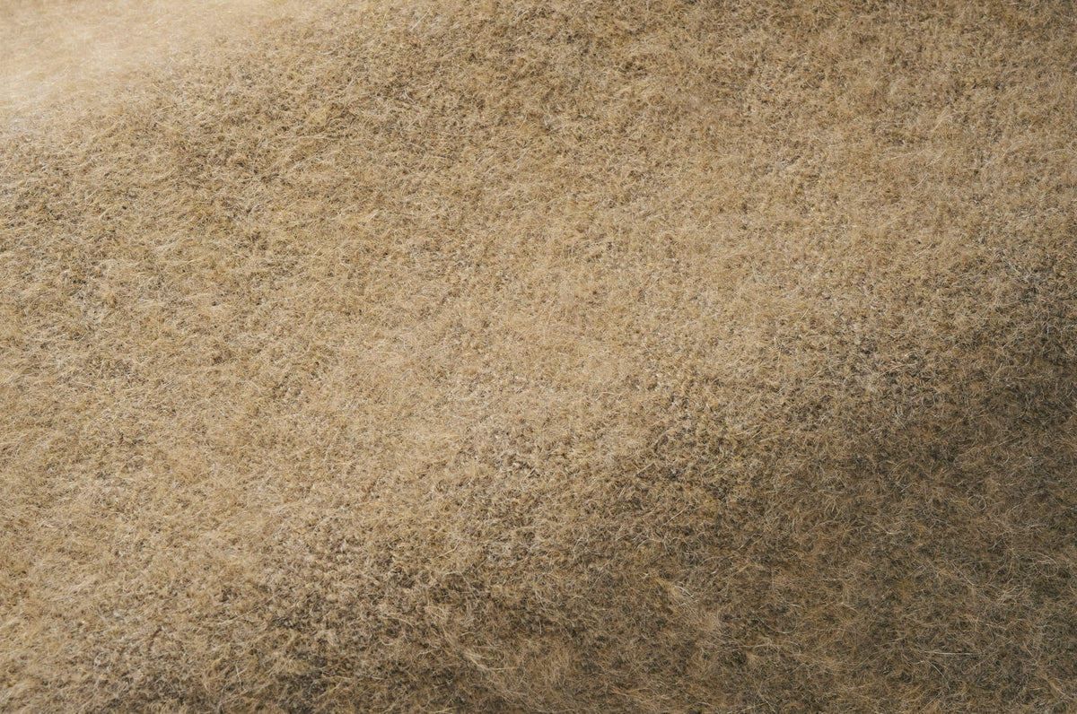 Yeti Quinoa — Pierre Frey fabric