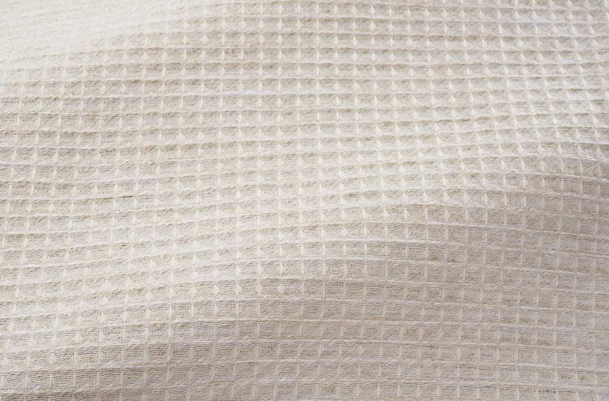 Cesarion Coquillage — Pierre Frey fabric