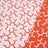Corail