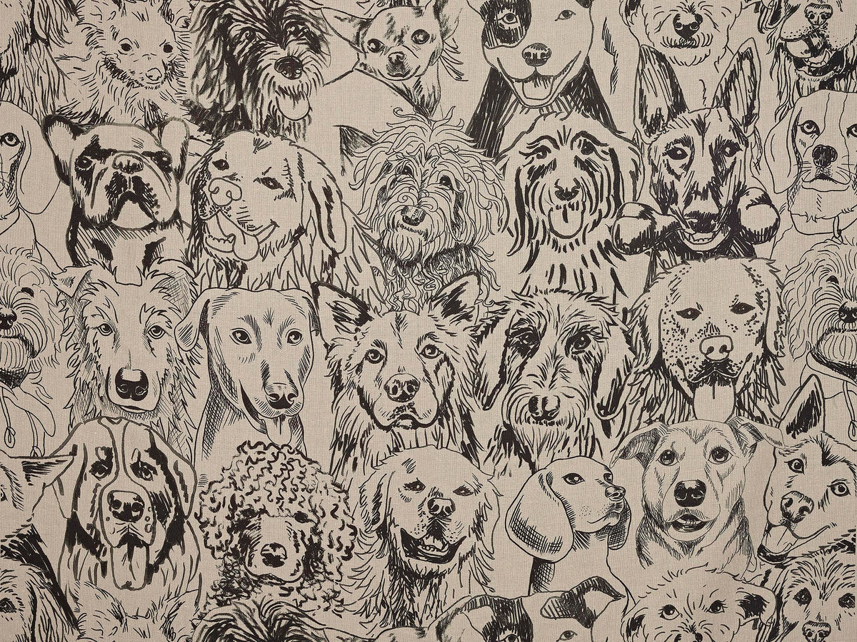 Designer Dogs Fusain — Pierre Frey fabric