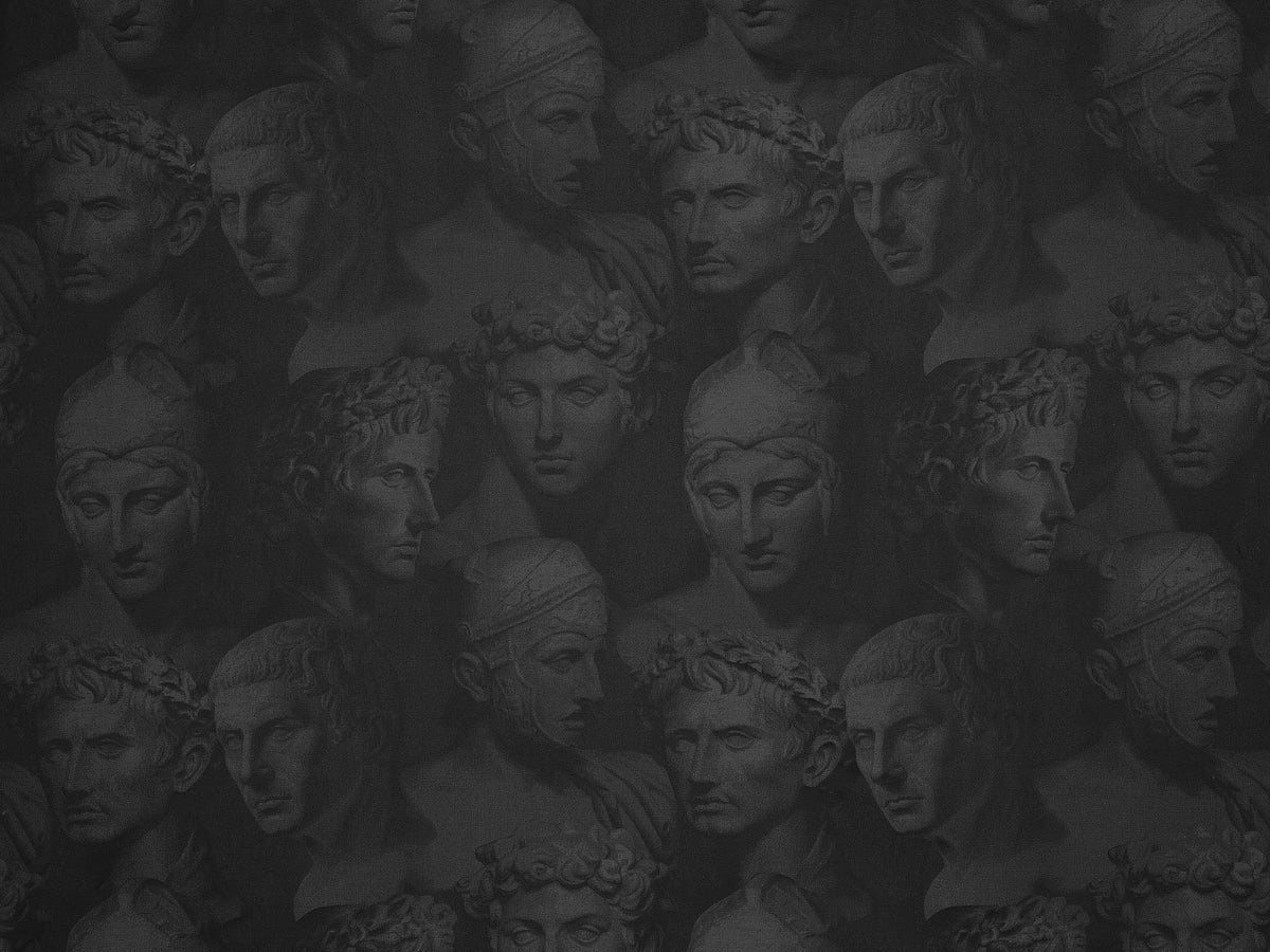 Stoned Romans Crin — Pierre Frey fabric