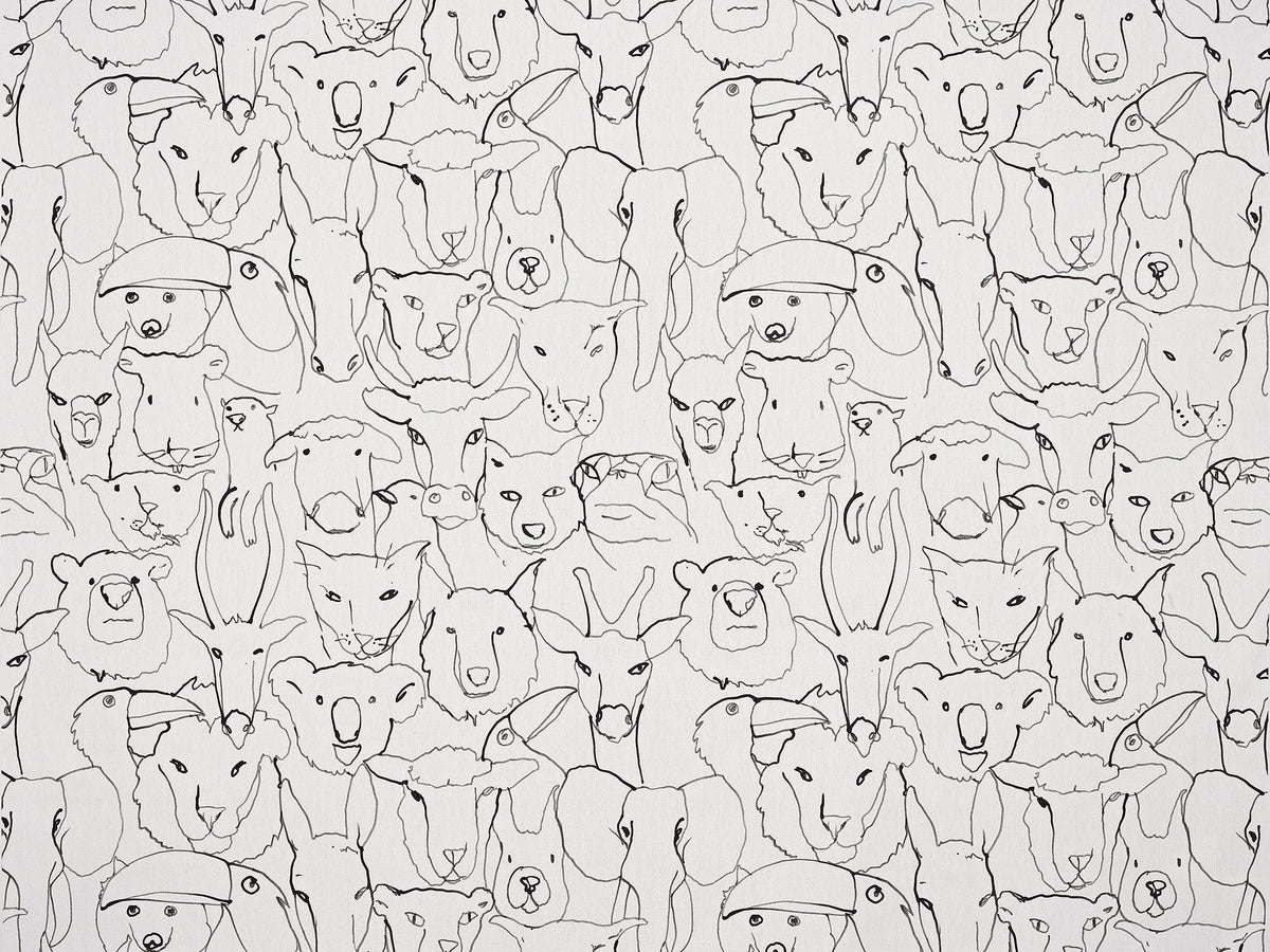 La Photo de Classe Croquis — Pierre Frey fabric