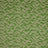 Menthe