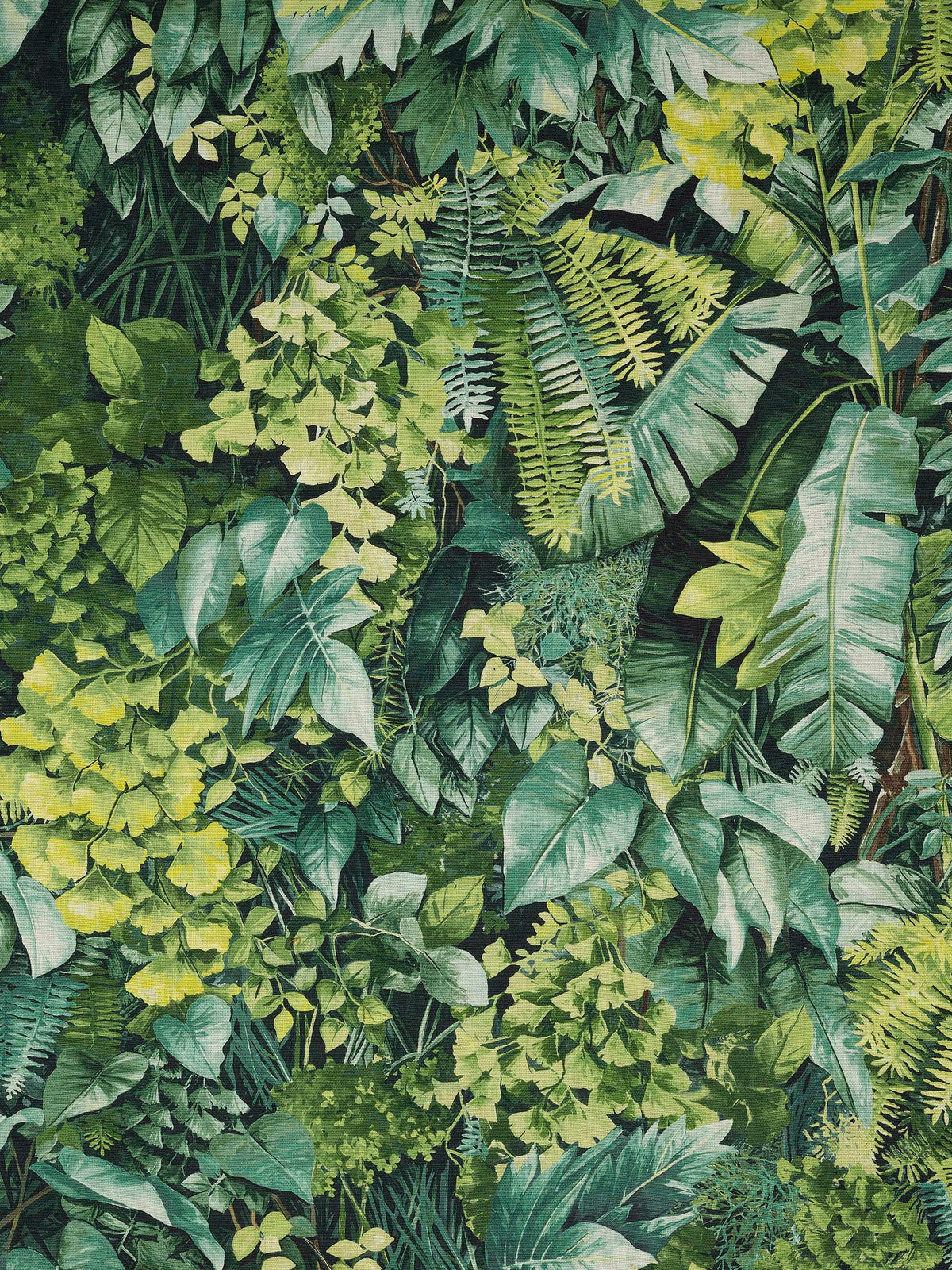 Mur Vegetal Chlorophylle — Pierre Frey fabric
