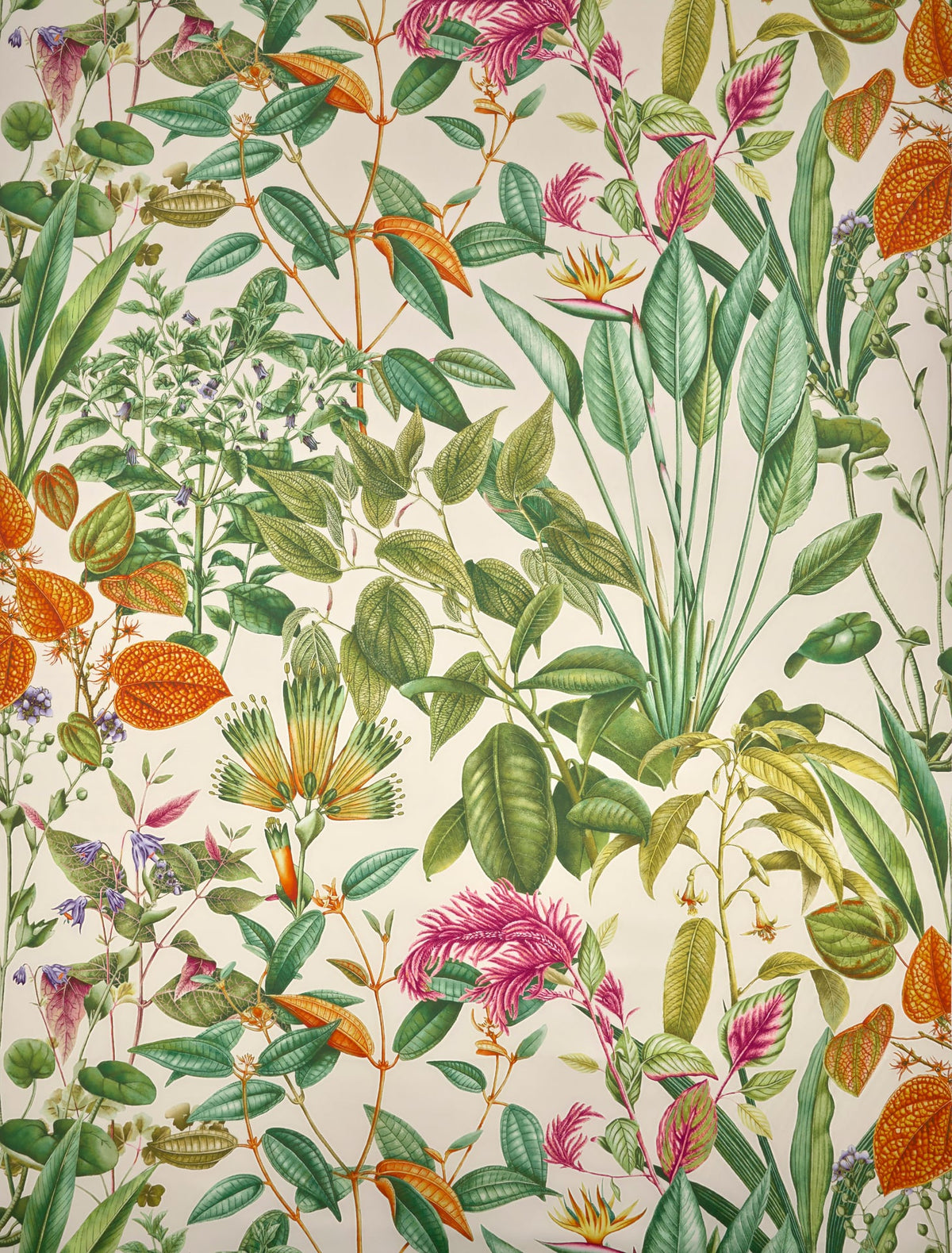 Fantaisie Tropicale VÉGÉTAL — Pierre Frey fabric