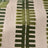 HERBE